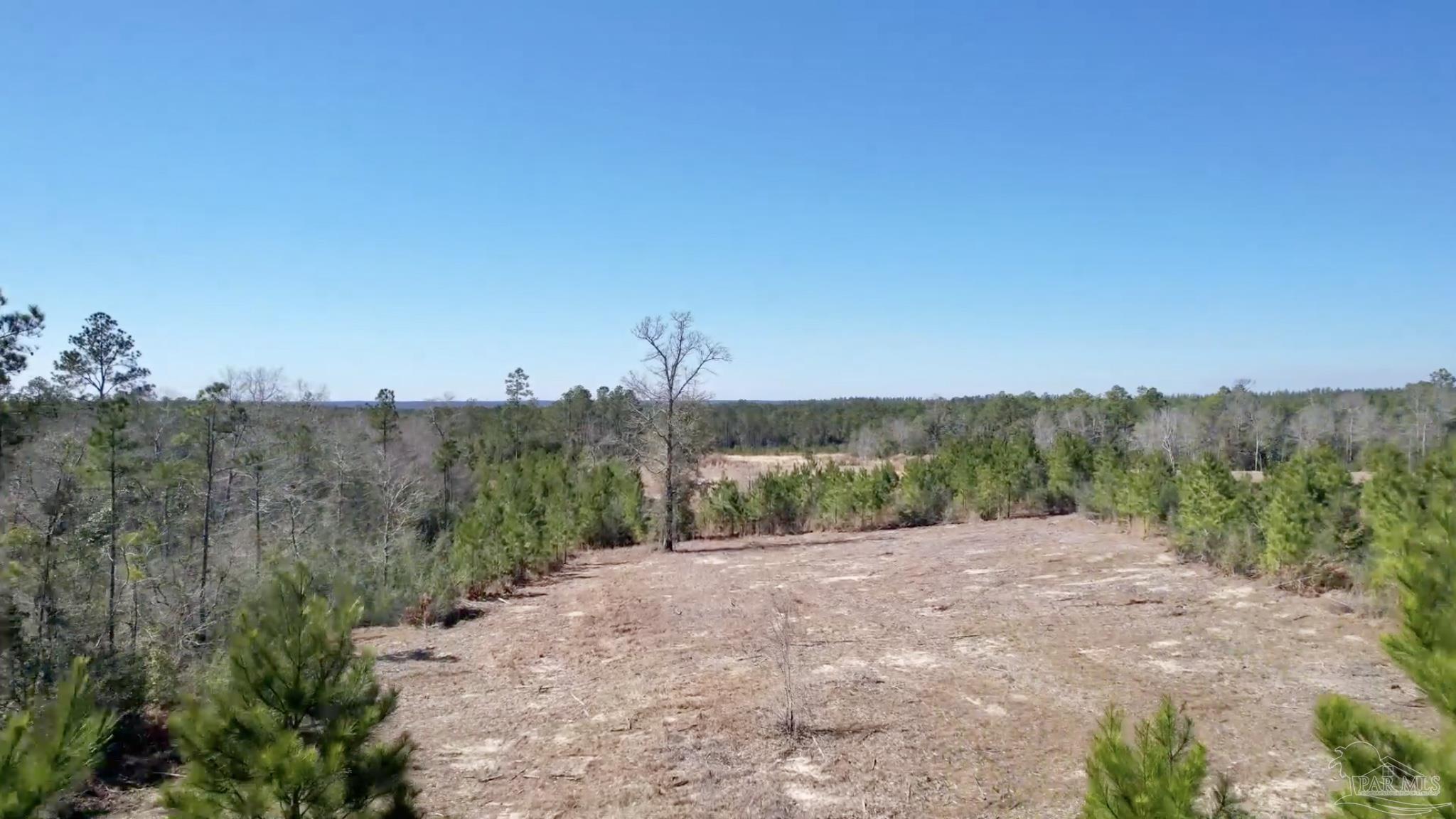 Lot 20-br Buffalo Ridge Road Milton, FL 32571 - Photo 3 of 10