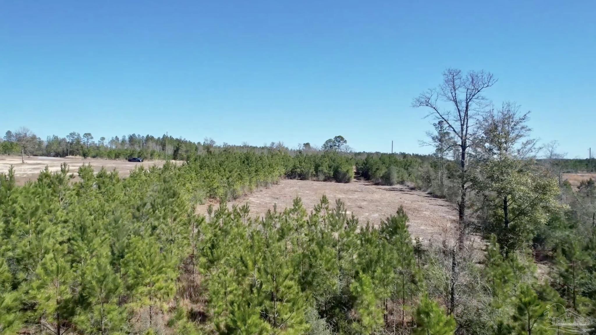 Lot 20-br Buffalo Ridge Road Milton, FL 32571 - Photo 4 of 10