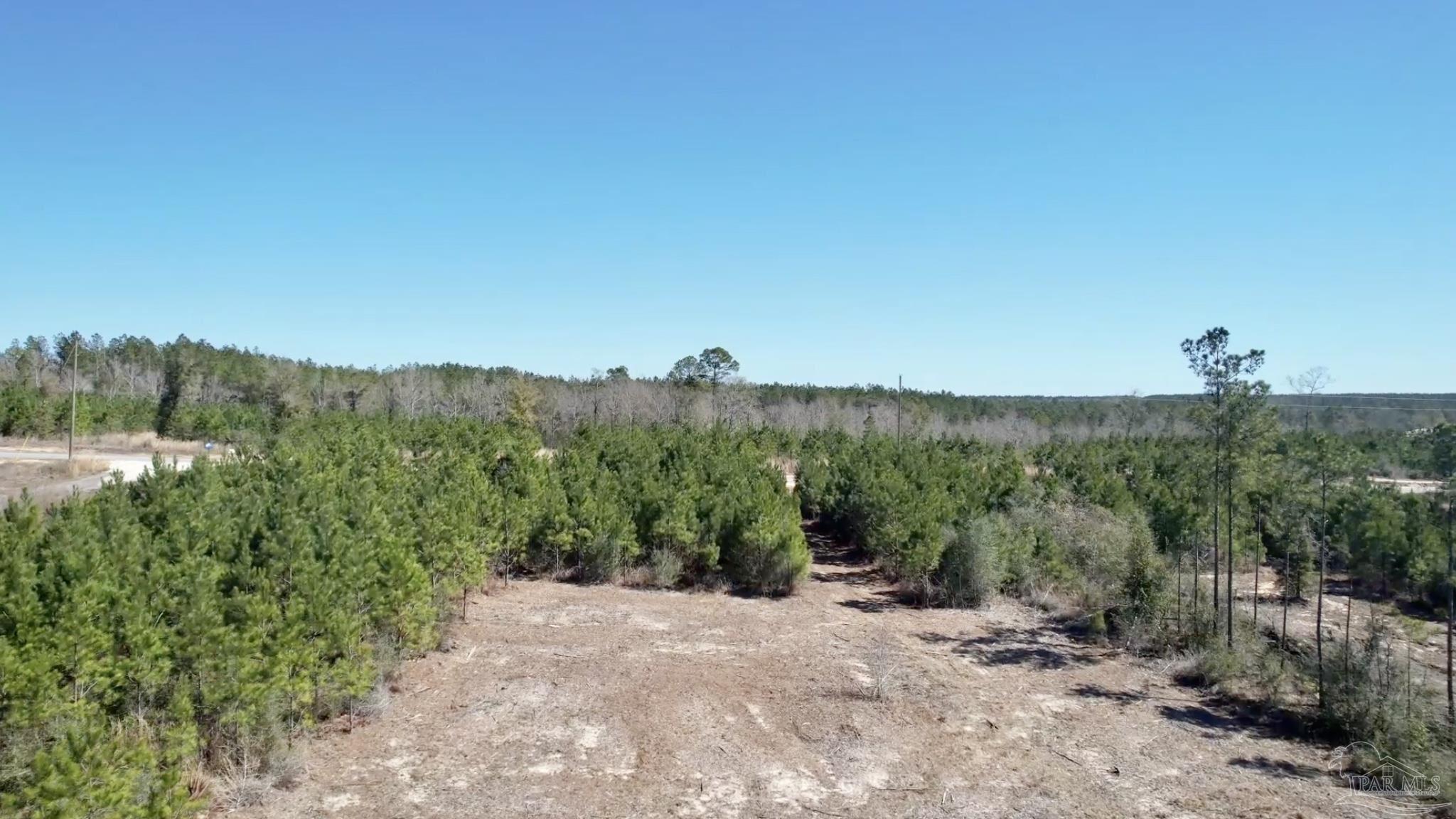 Lot 20-br Buffalo Ridge Road Milton, FL 32571 - Photo 5 of 10