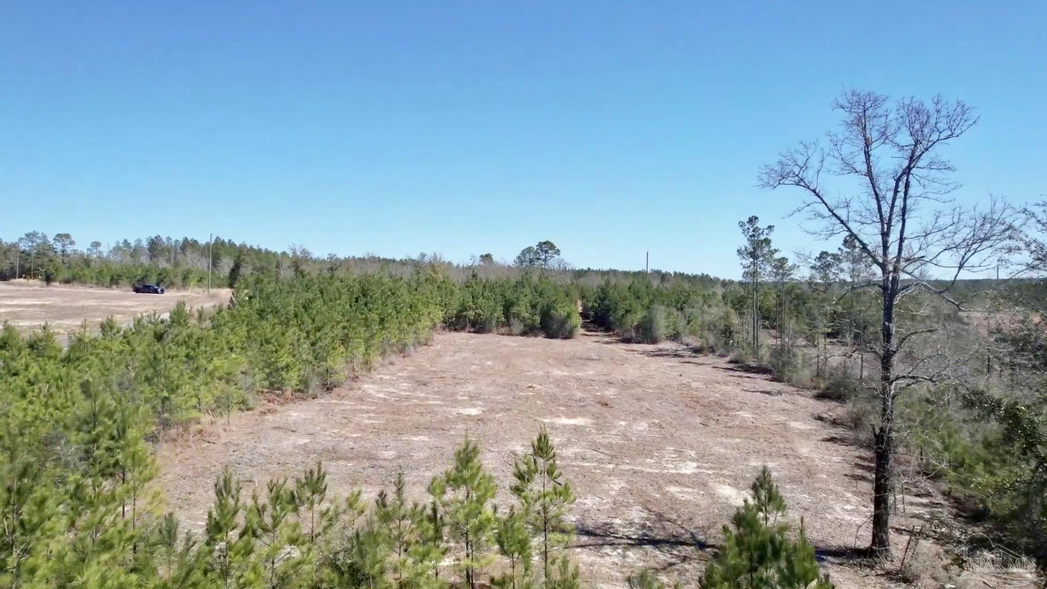 Lot 20-br Buffalo Ridge Road Milton, FL 32571 - Photo 6 of 10
