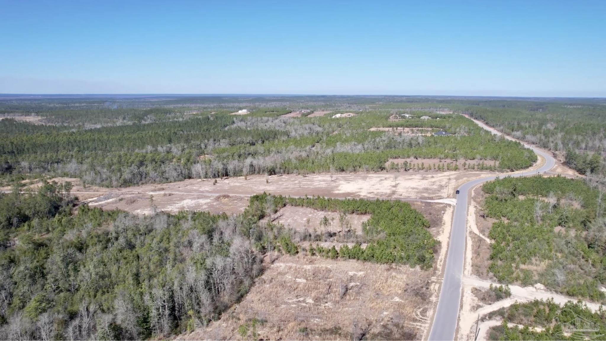 Lot 20-br Buffalo Ridge Road Milton, FL 32571 - Photo 8 of 10