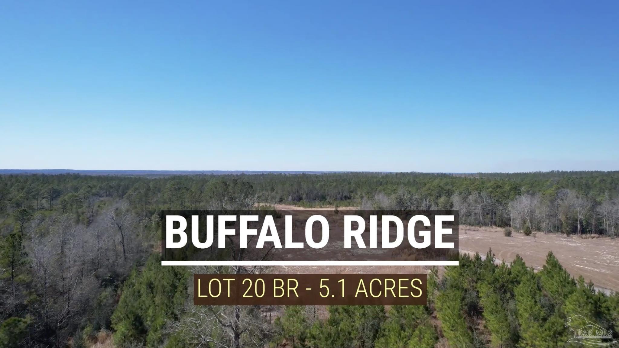 Lot 20-br Buffalo Ridge Road Milton, FL 32571 - Photo 10 of 10