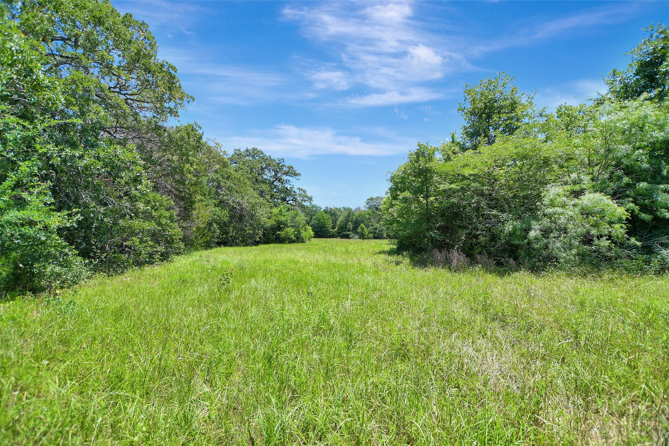 7629 Oxford Cemetery Road Madisonville, TX 77864 - Photo 10 of 12