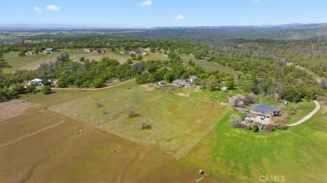 a view of a plant in a garden