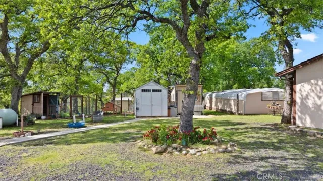 a view of a garden with a slide