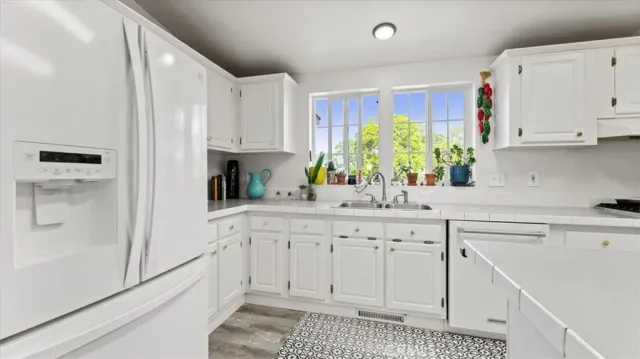 a kitchen with cabinets appliances a sink and a potted plant