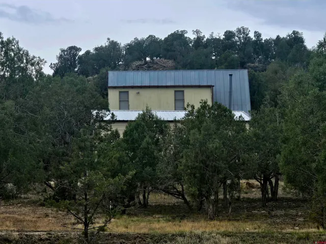 a view of a house with a yard and a large tree center