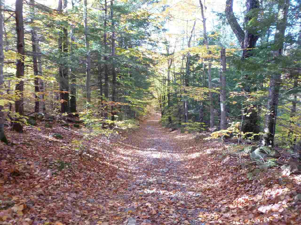 1 Tumbledown Dick Road Brookfield, NH 03872 - Photo 1 of 15 Gallery Image 1