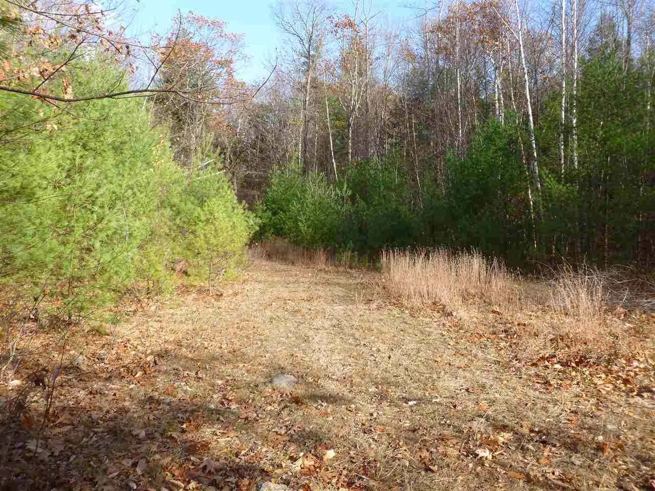 1 Tumbledown Dick Road Brookfield, NH 03872 - Photo 11 of 15 Gallery Image 11