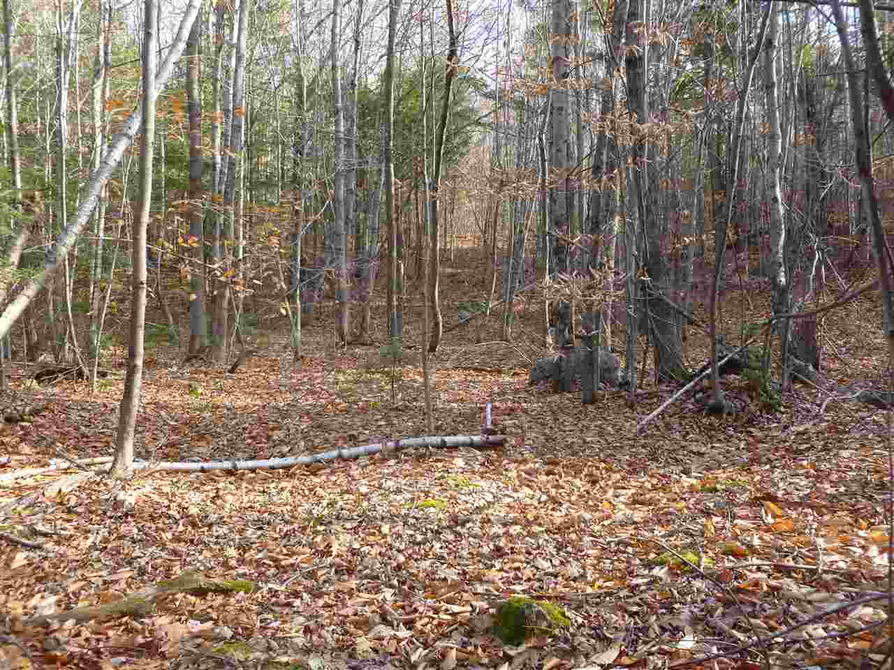 1 Tumbledown Dick Road Brookfield, NH 03872 - Photo 12 of 15 Gallery Image 12