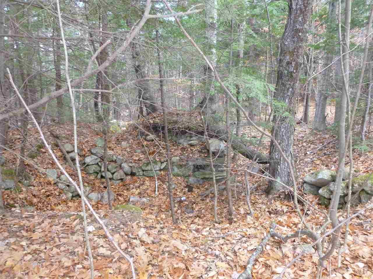 1 Tumbledown Dick Road Brookfield, NH 03872 - Photo 13 of 15 Gallery Image 13