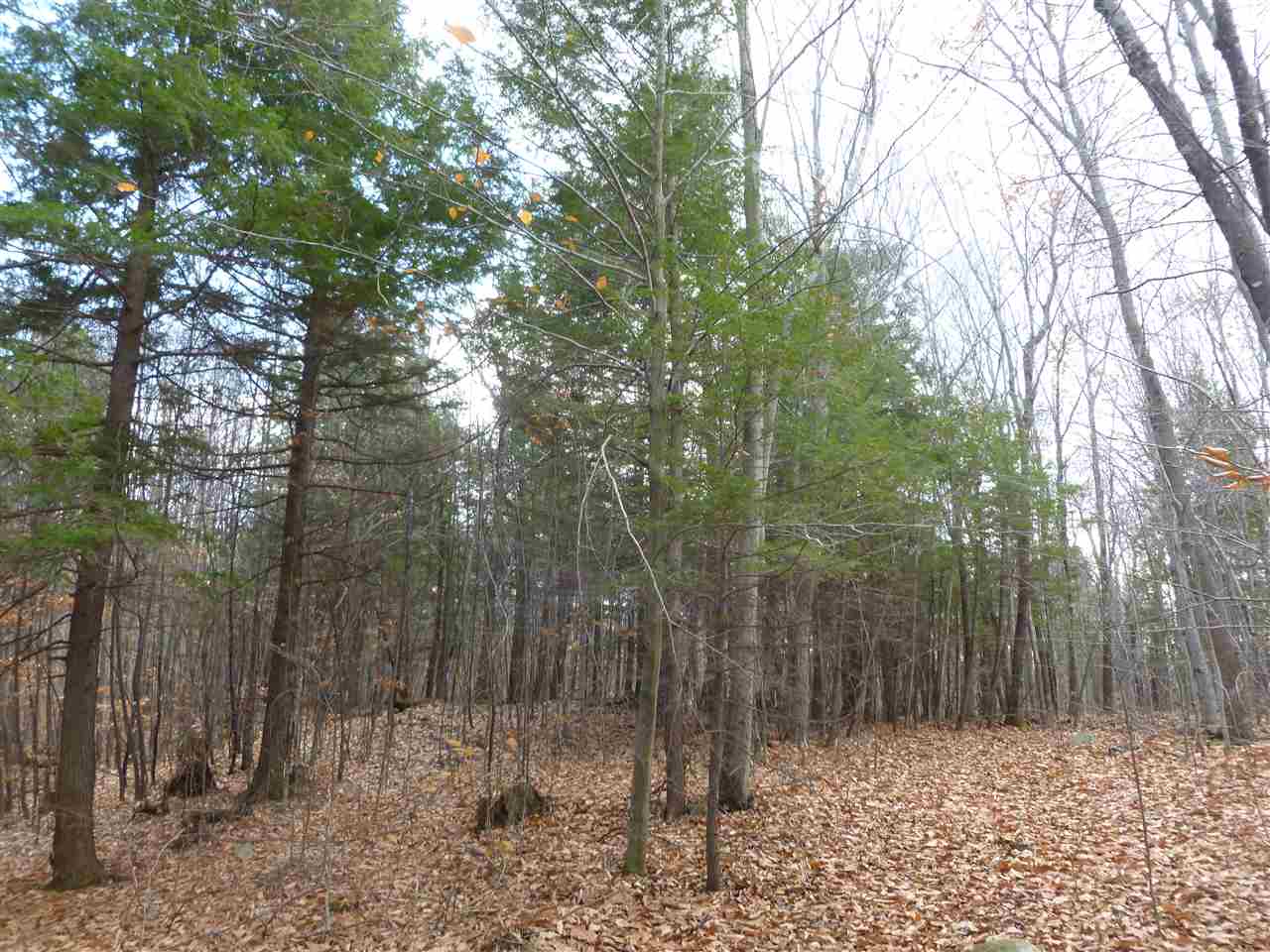 1 Tumbledown Dick Road Brookfield, NH 03872 - Photo 3 of 15 Gallery Image 3