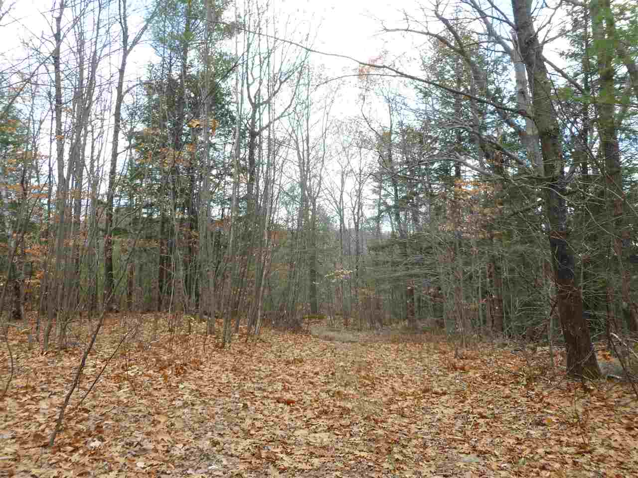 1 Tumbledown Dick Road Brookfield, NH 03872 - Photo 4 of 15 Gallery Image 4
