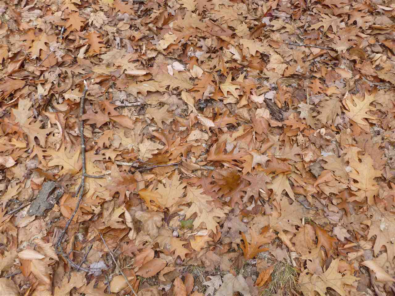 1 Tumbledown Dick Road Brookfield, NH 03872 - Photo 6 of 15 Gallery Image 6