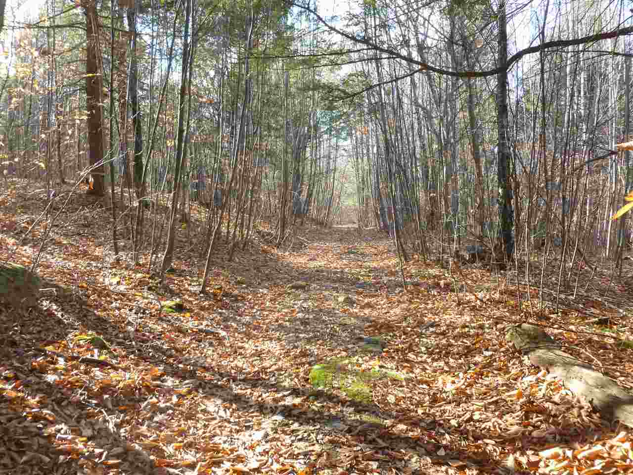 1 Tumbledown Dick Road Brookfield, NH 03872 - Photo 7 of 15 Gallery Image 7