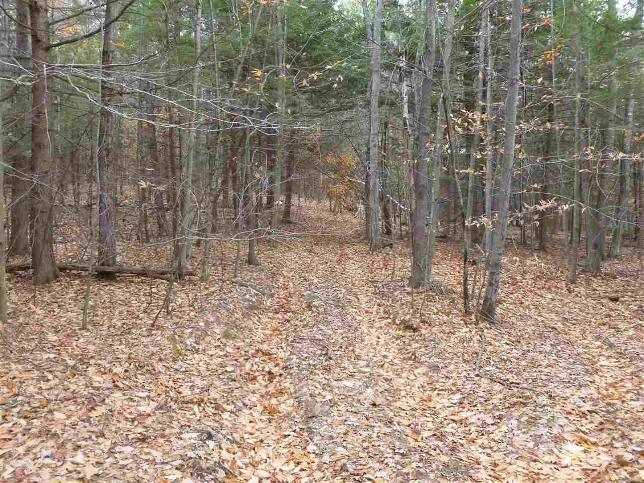 1 Tumbledown Dick Road Brookfield, NH 03872 - Photo 9 of 15 Gallery Image 9