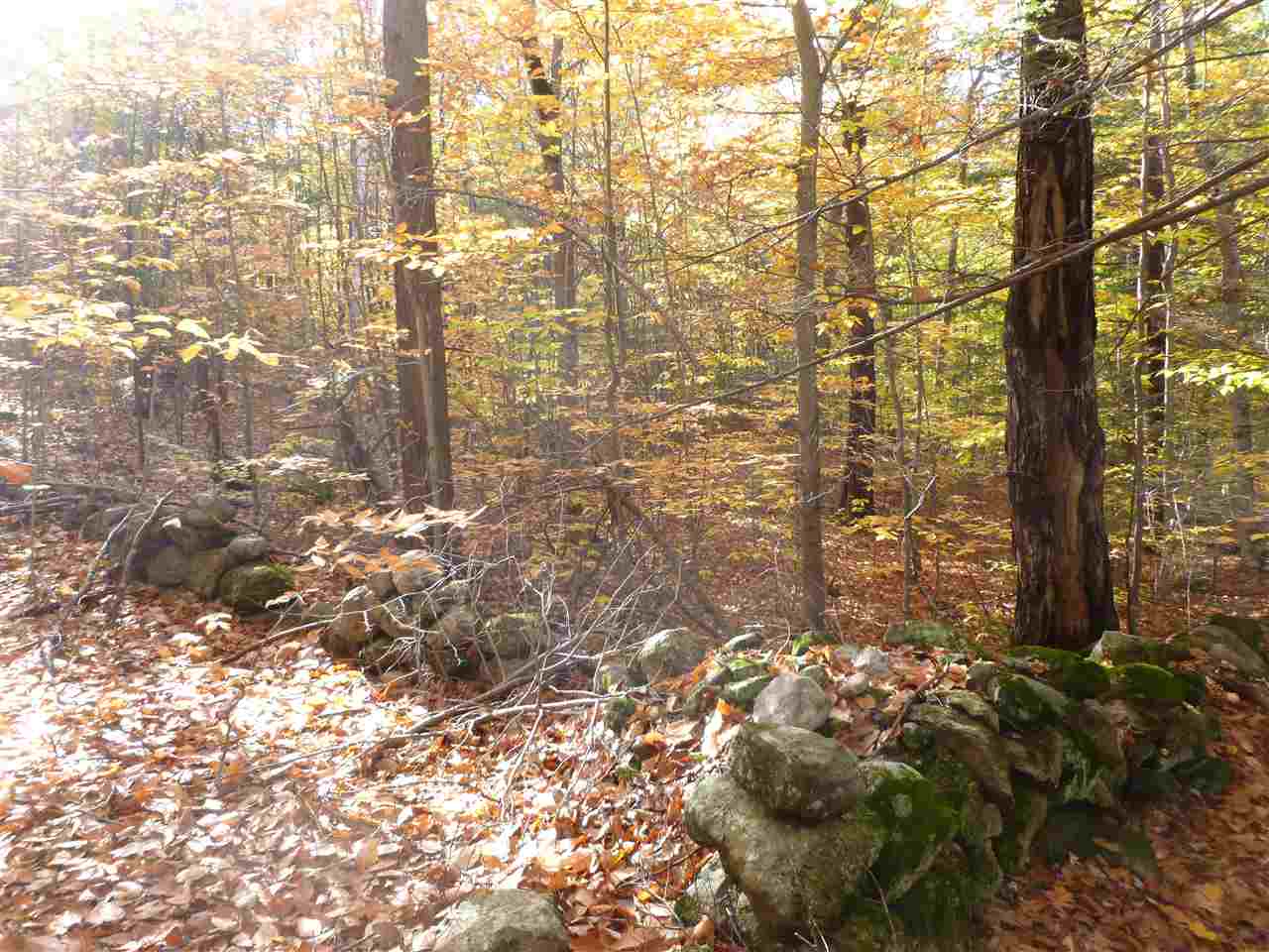 1 Tumbledown Dick Road Brookfield, NH 03872 - Photo 10 of 15 Gallery Image 10