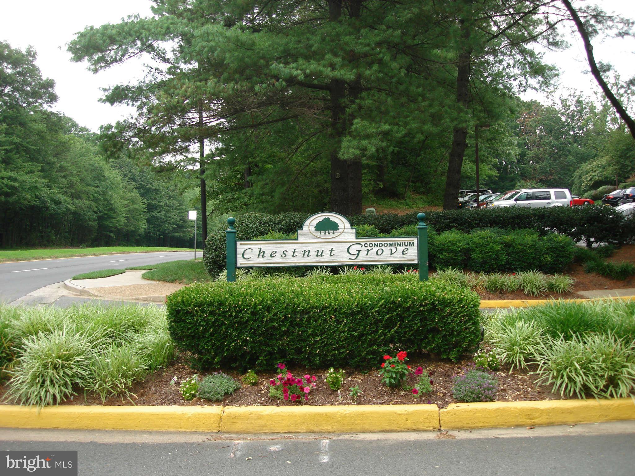 11204 Chestnut Grove Square, Unit 207 Reston, VA 20190 - Photo 2 of 30 Exterior General