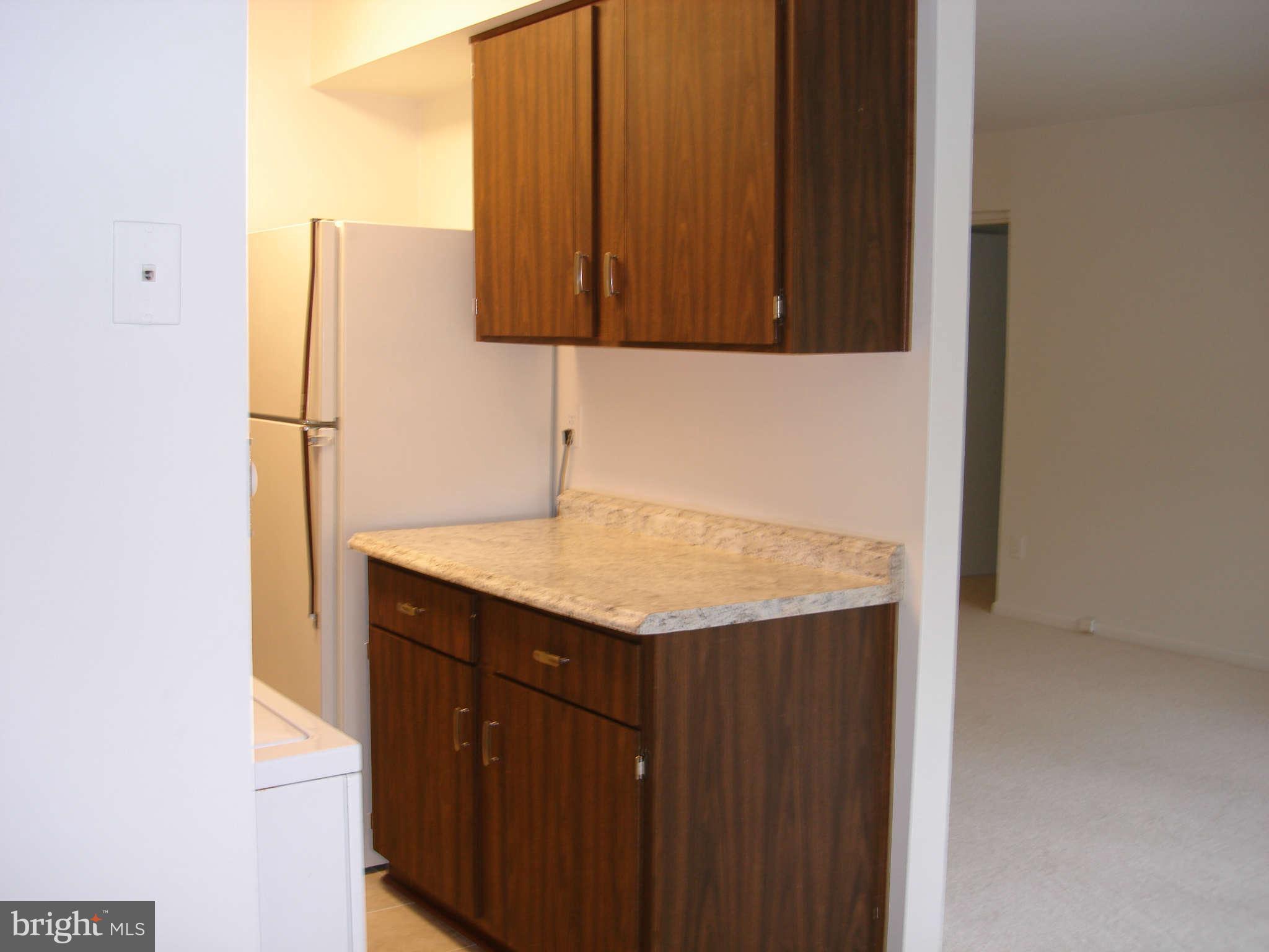 11204 Chestnut Grove Square, Unit 207 Reston, VA 20190 - Photo 15 of 30 Kitchen
