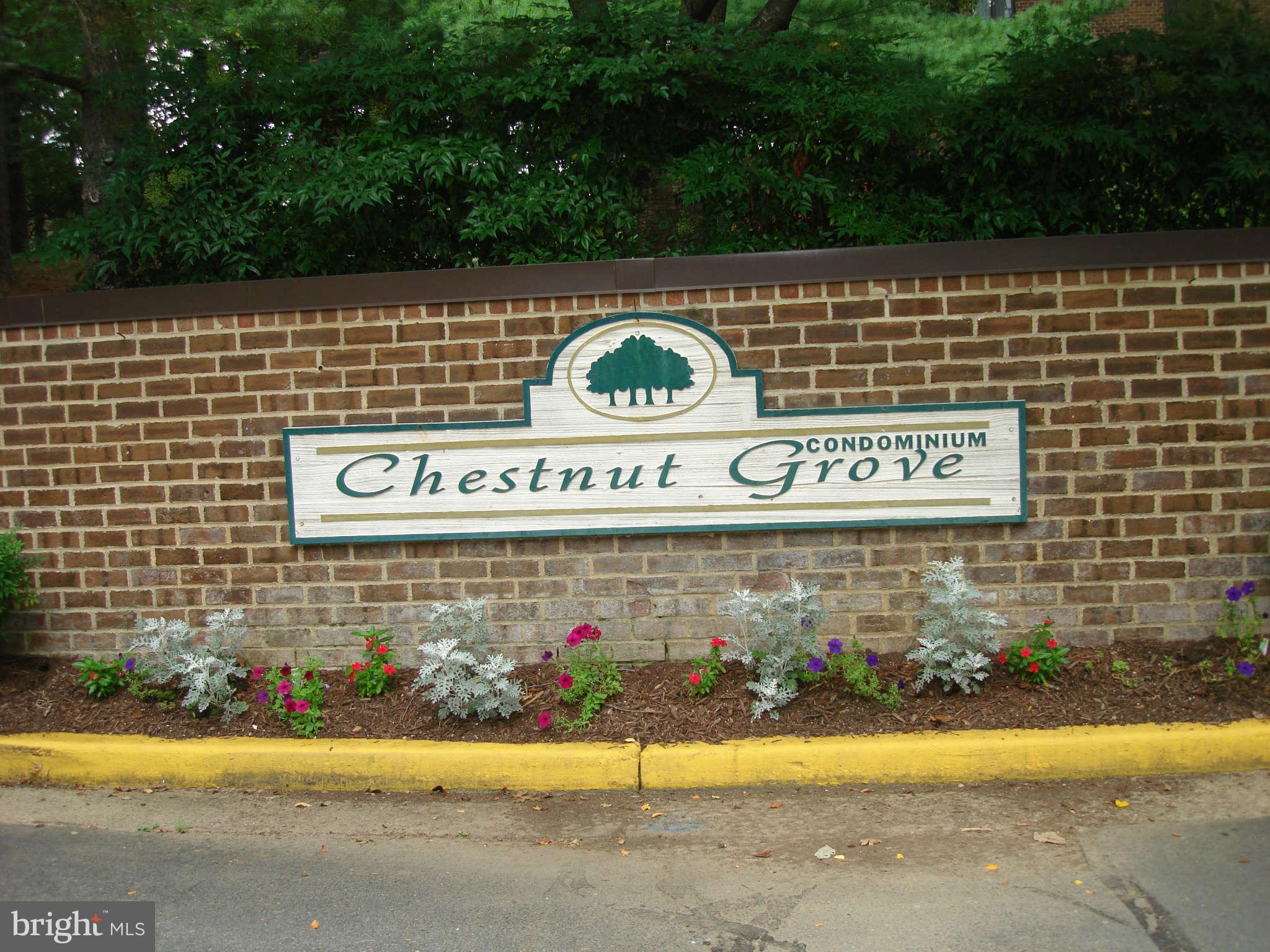 11204 Chestnut Grove Square, Unit 207 Reston, VA 20190 - Photo 3 of 30 Exterior General
