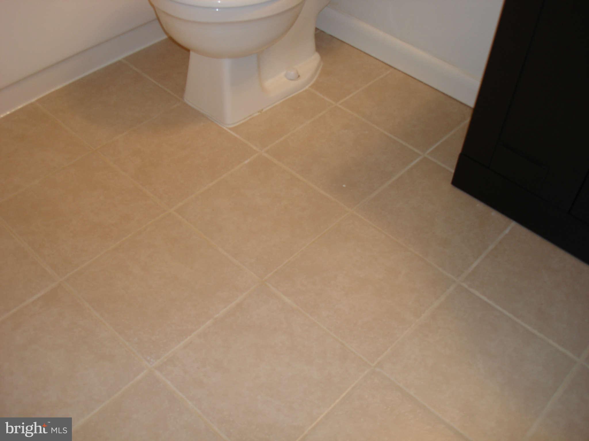 11204 Chestnut Grove Square, Unit 207 Reston, VA 20190 - Photo 25 of 30 Bath