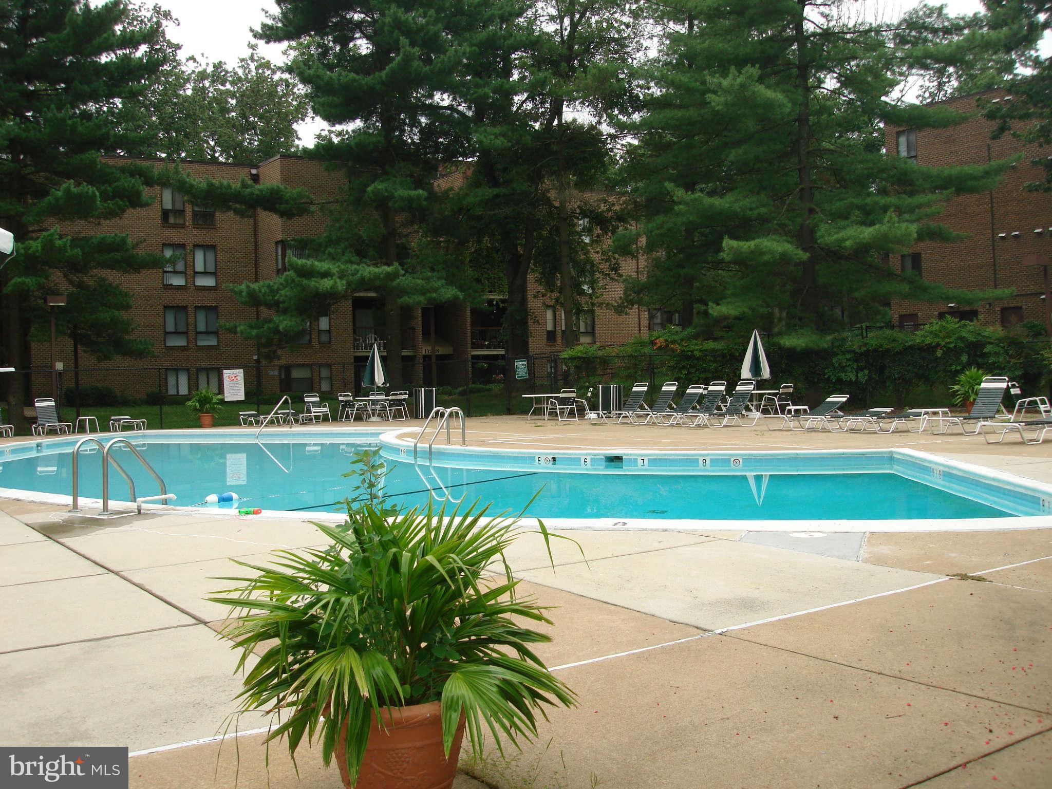 11204 Chestnut Grove Square, Unit 207 Reston, VA 20190 - Photo 5 of 30 Community
