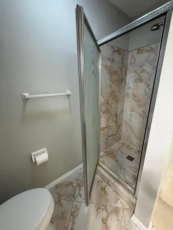 a bathroom with a shower and toilet