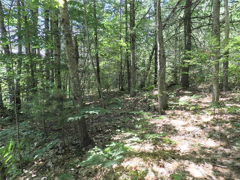 0 Main Street Sumner, ME 04292 - Photo 1 of 1 Land/Lot.