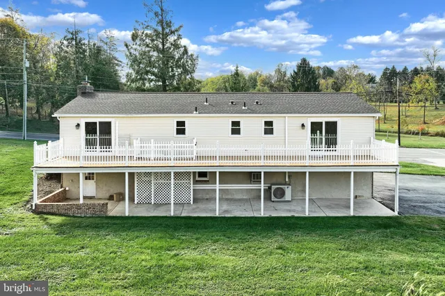 a view of a garden with plants and large trees