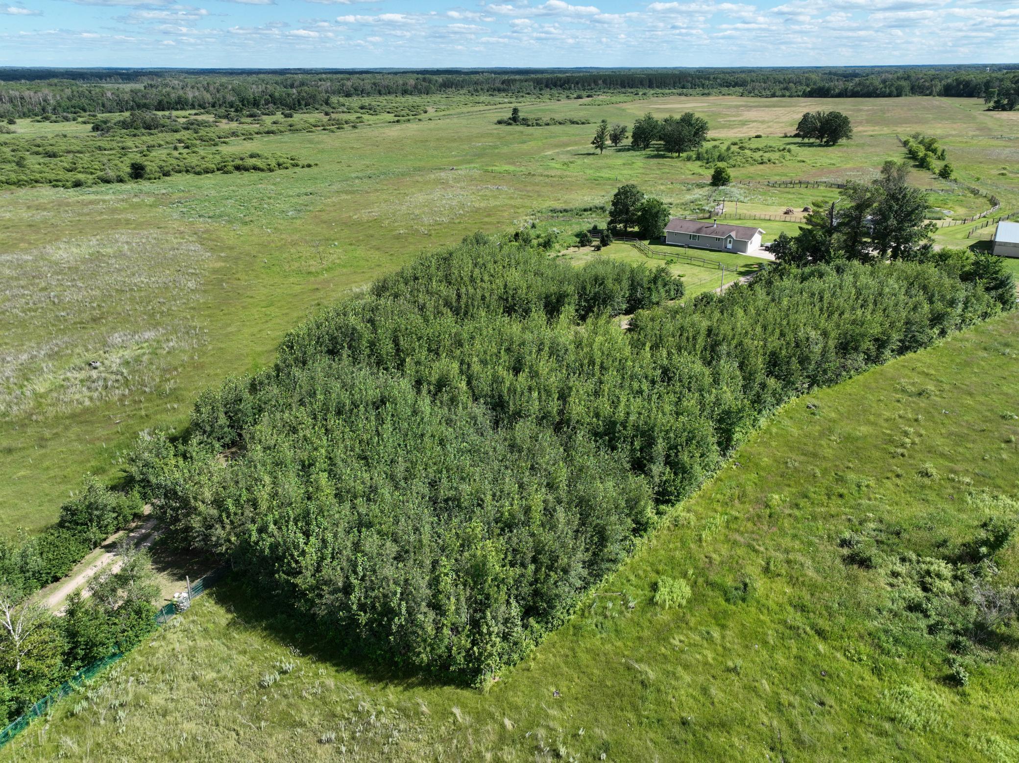 9091 52nd Street Southwest Verndale, MN 56481 - Photo 11 of 66