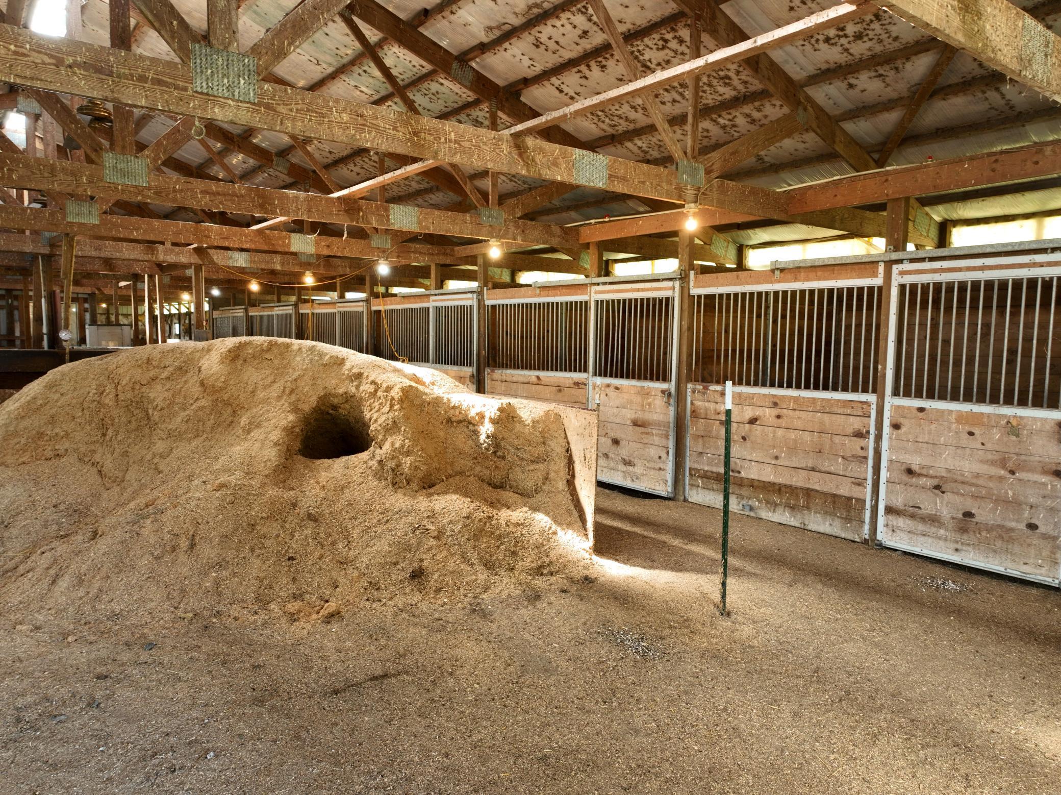 9091 52nd Street Southwest Verndale, MN 56481 - Photo 26 of 66