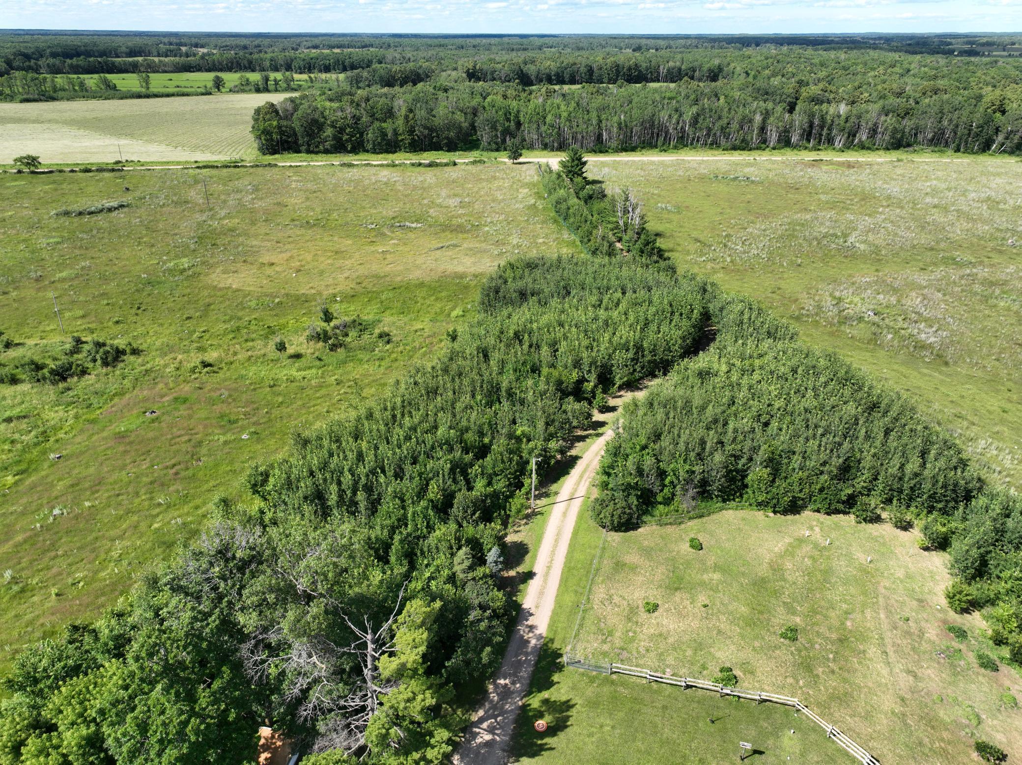 9091 52nd Street Southwest Verndale, MN 56481 - Photo 3 of 66