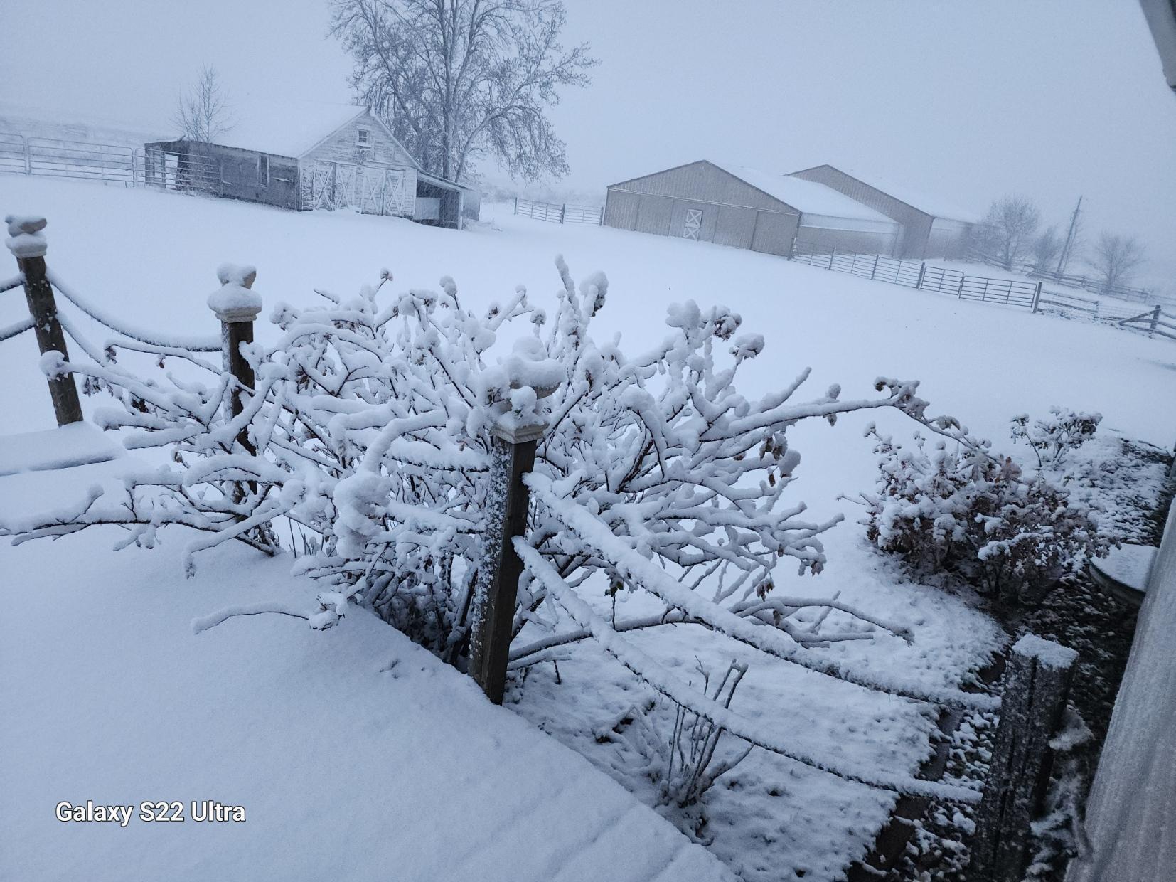 9091 52nd Street Southwest Verndale, MN 56481 - Photo 37 of 66