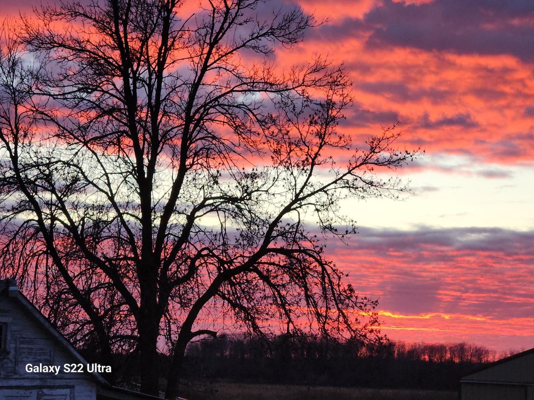 9091 52nd Street Southwest Verndale, MN 56481 - Photo 39 of 66