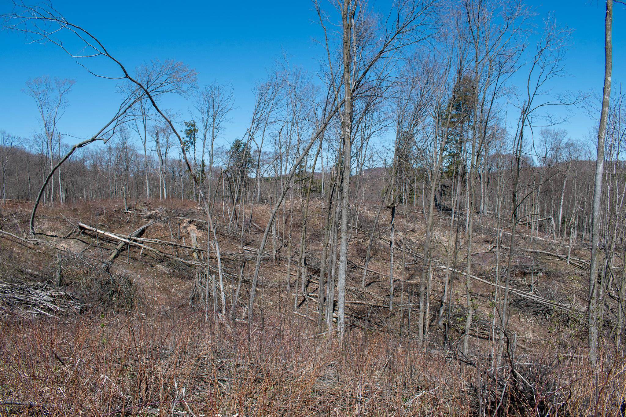 0 East Smiseth Road Suttons Bay, MI 49682 - Photo 29 of 67