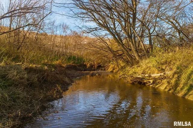 $1,325,000 | 16202 West Cottonwood Road, Elmwood, IL 61529