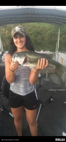 $1,325,000 | 16202 West Cottonwood Road, Elmwood, IL 61529