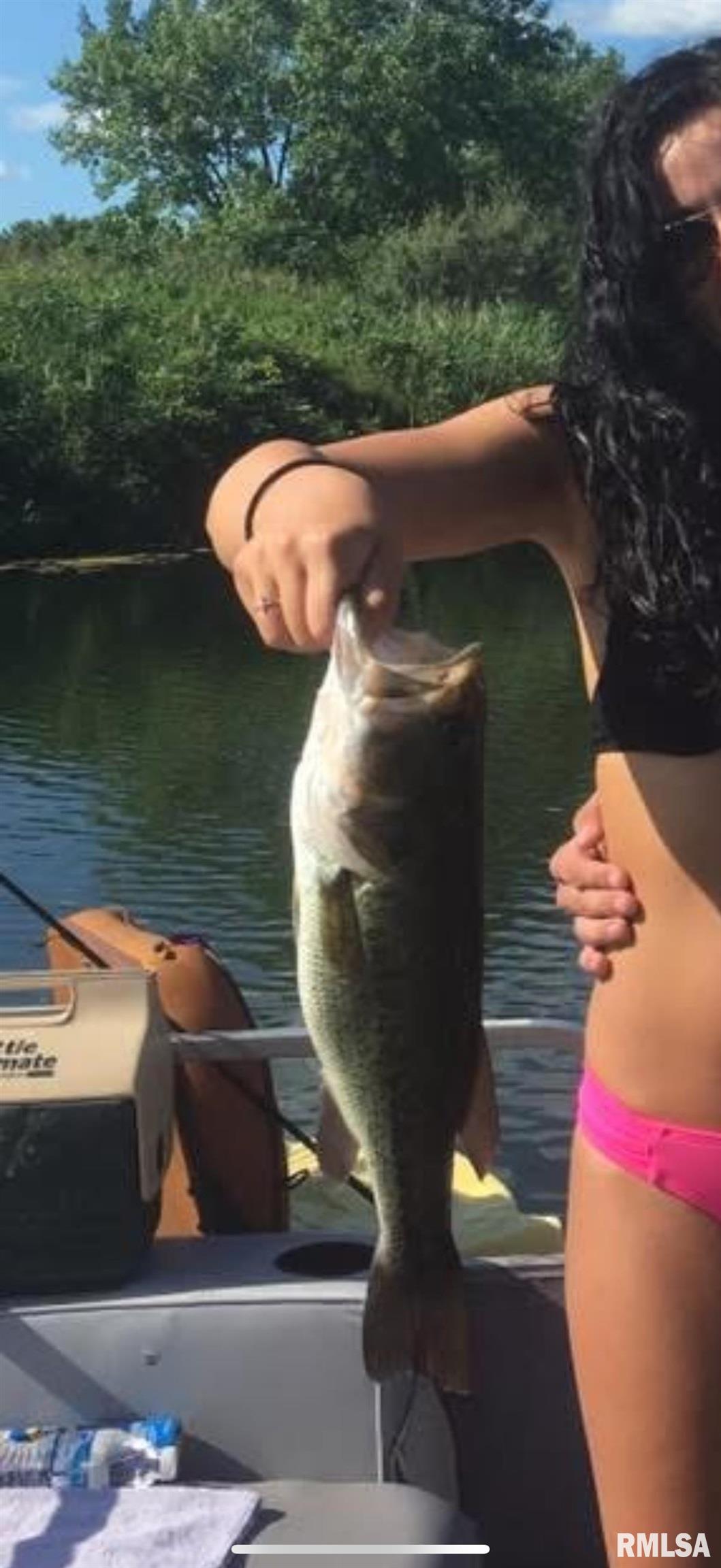 16202 West Cottonwood Road Elmwood, IL 61529 - Photo 51 of 60