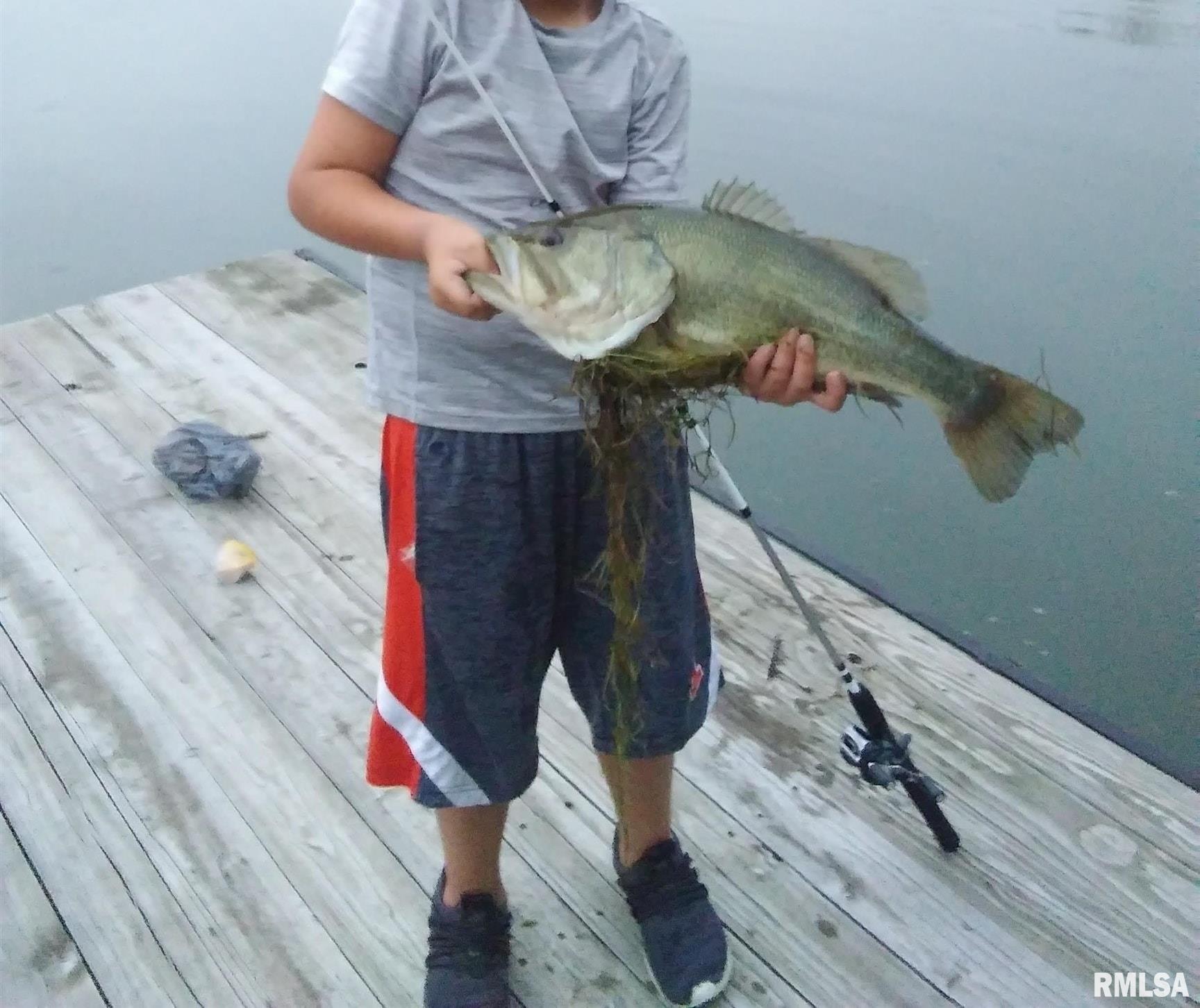 16202 West Cottonwood Road Elmwood, IL 61529 - Photo 52 of 60