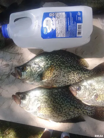 $1,325,000 | 16202 West Cottonwood Road, Elmwood, IL 61529