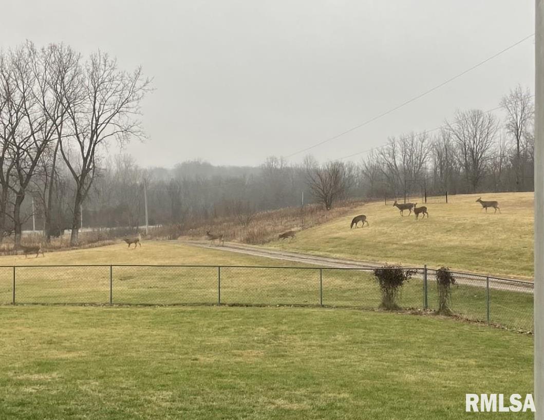 16202 West Cottonwood Road Elmwood, IL 61529 - Photo 55 of 60