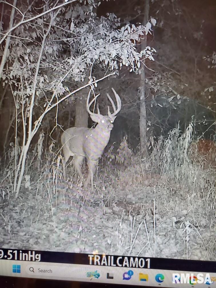 16202 West Cottonwood Road Elmwood, IL 61529 - Photo 8 of 60