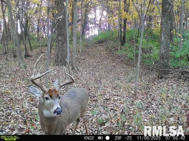 16202 West Cottonwood Road Elmwood, IL 61529 - Photo 9 of 60