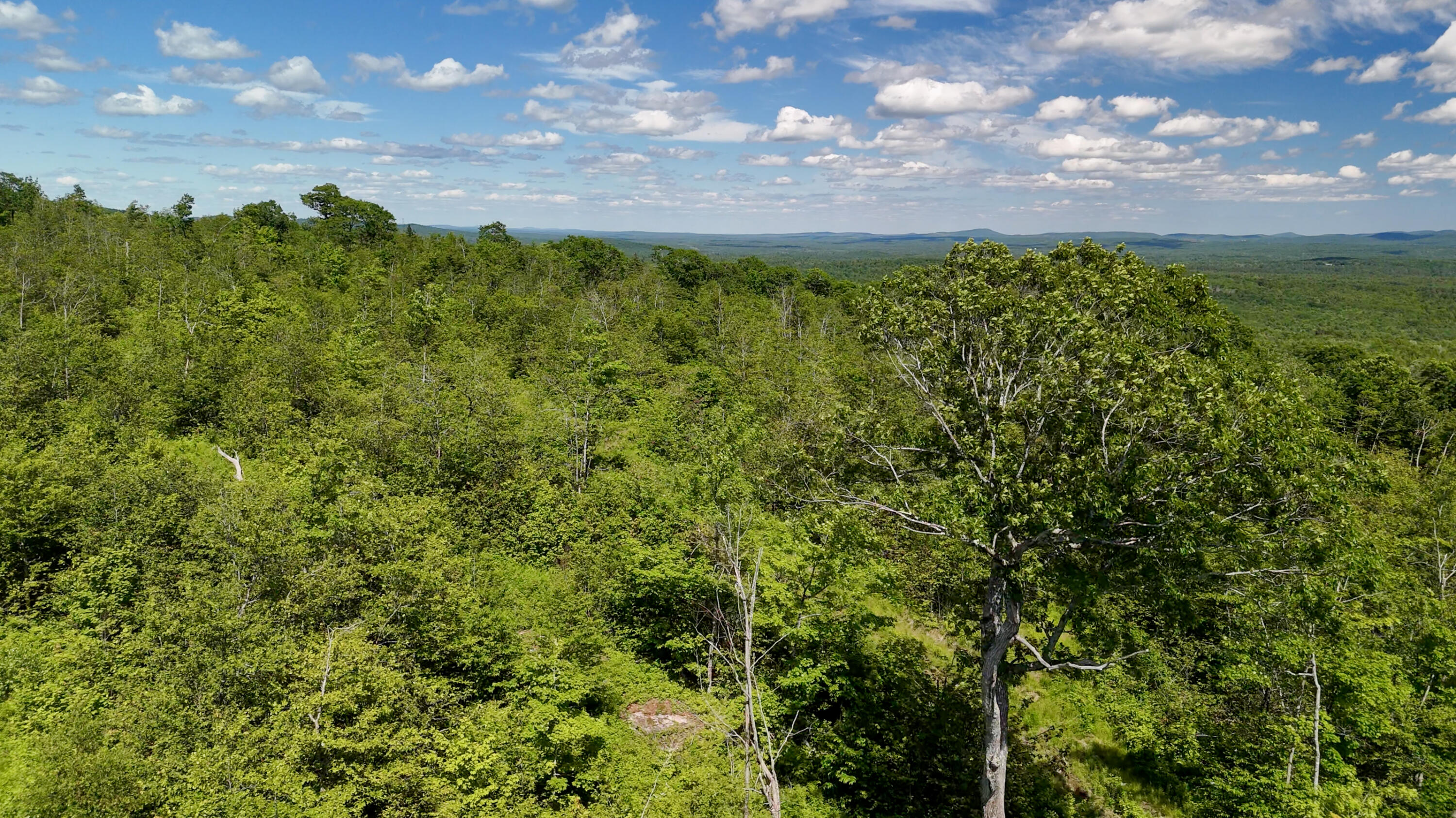 775 Old County Road Washington, ME 04574 - Photo 16 of 22 17