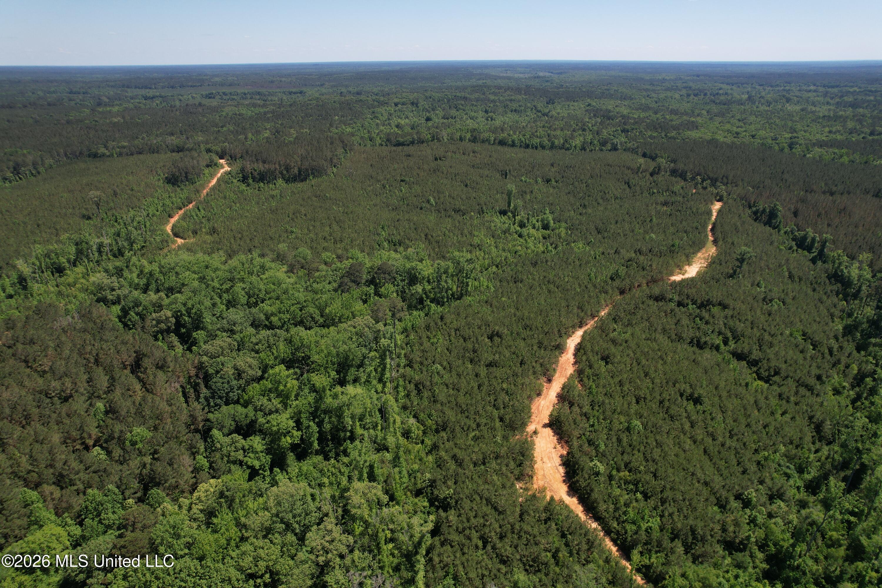 Couparle Road Camden, MS 39045 - Photo 12 of 47 DJI_0129