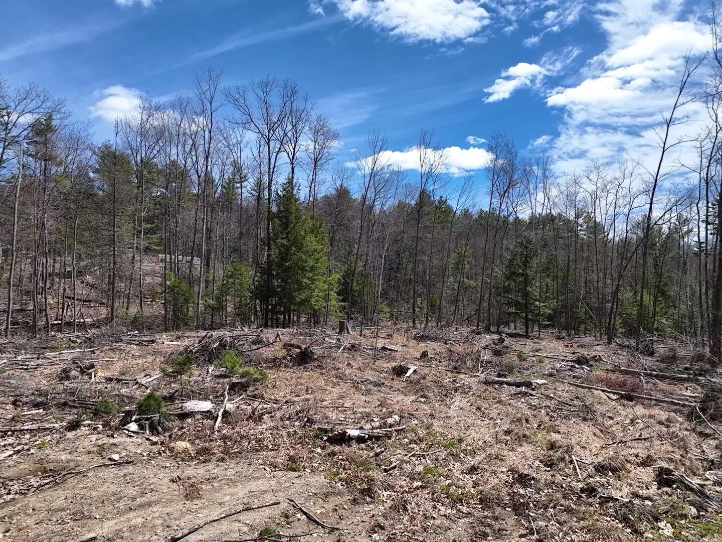 303 Common Road Dixfield, ME 04224 - Photo 3 of 15 2026-04-25-12-40-36-601