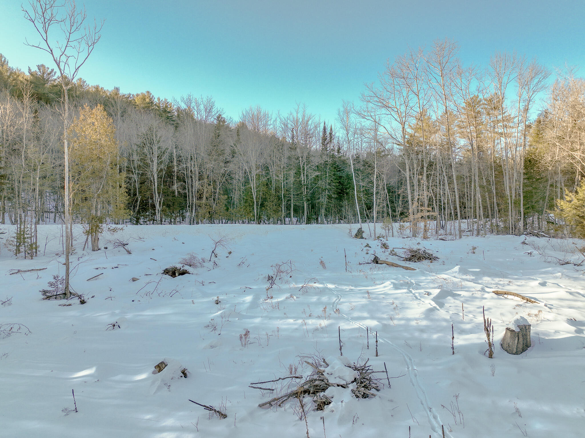 303 Common Road Dixfield, ME 04224 - Photo 4 of 12 DJI_0064