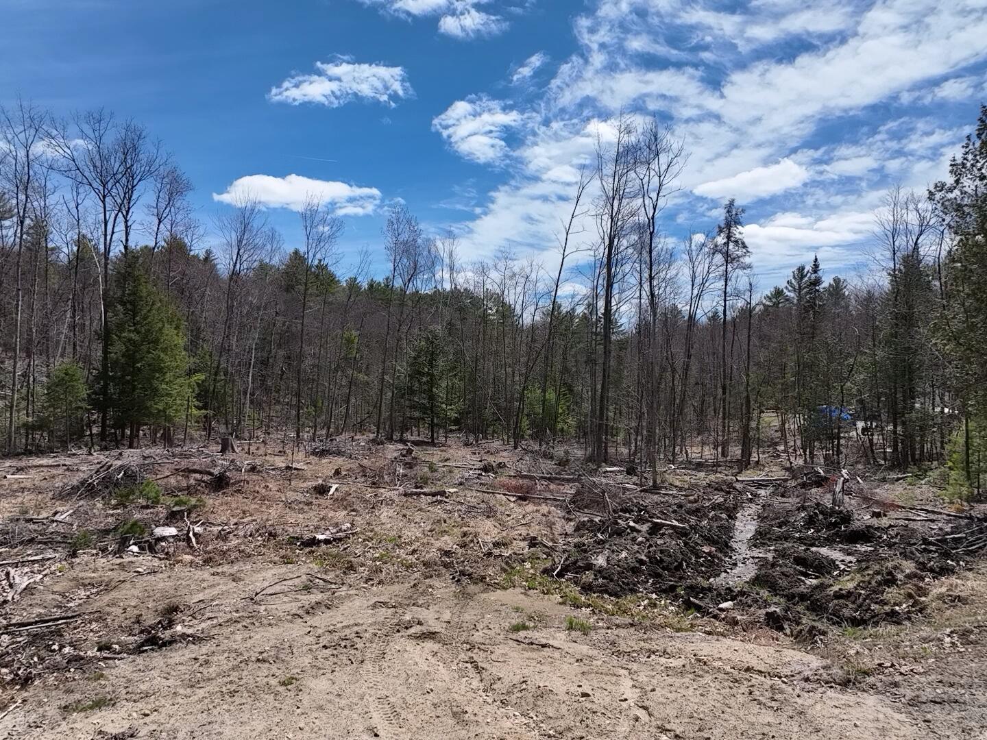 303 Common Road Dixfield, ME 04224 - Photo 6 of 15 2026-04-25-12-35-58-645