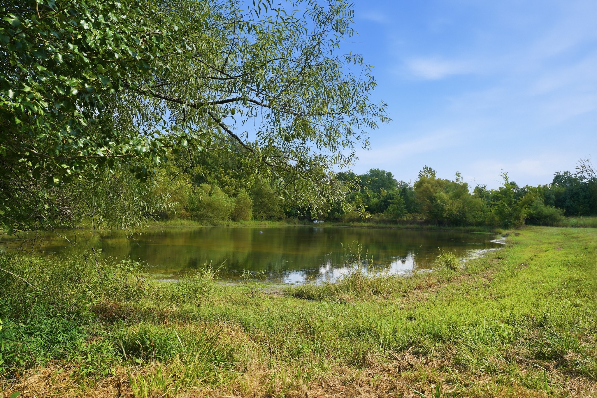 4854 Rock House Road Portland, TN 37148 - Photo 78 of 100 Gallery Image 78