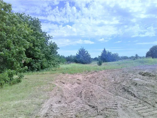 a view of dirt field with trees